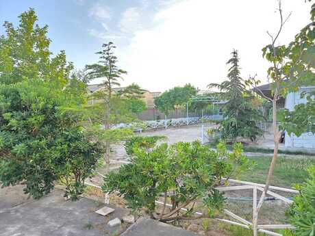 Obyekt - Türkan q. - 3000 m²
