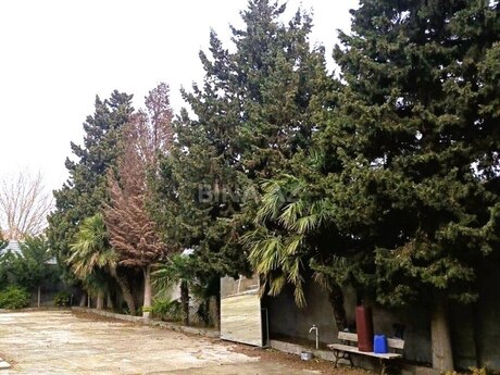 Elan №6202251 - Bakı, Mərdəkan q., 8 sot
