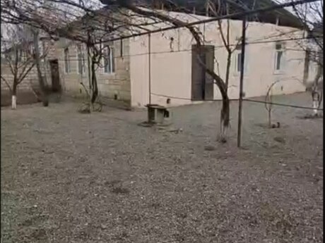 Барда