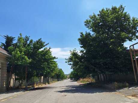Novxanı q.