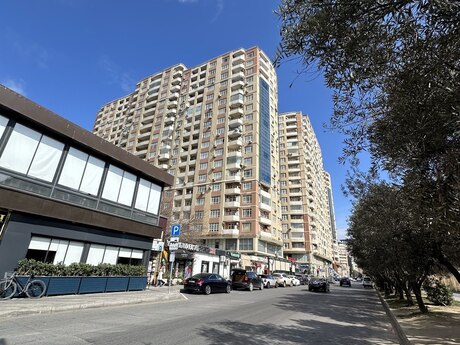 Şah İsmayıl Xətai m.