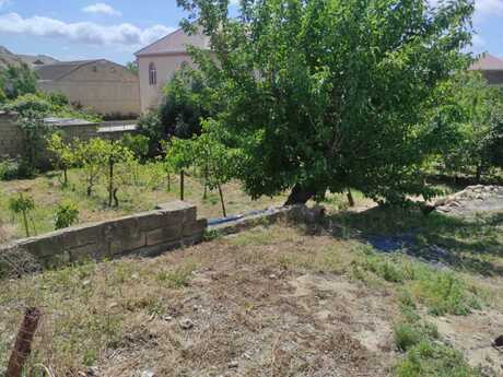 Elan №6204040 - Bakı, Saray q., 10 sot