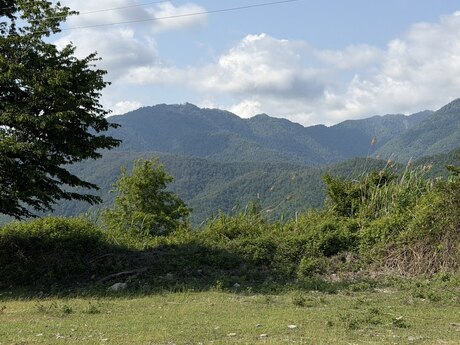 Габала
