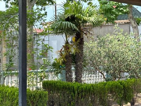 Elan №6204399 - Bakı, Novxanı q., 5 otaqlı, 295 m²