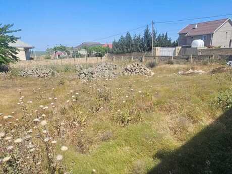Masazır q.