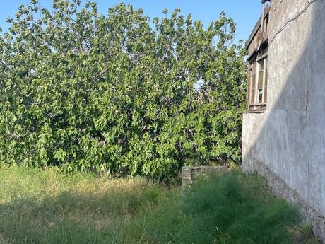 3 otaqlı həyət evi, 100 m², Novxanı: 140 000 ₼ 2