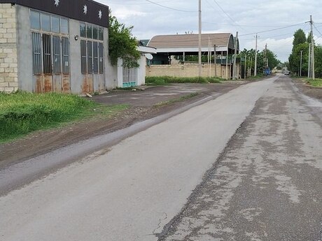 Барда