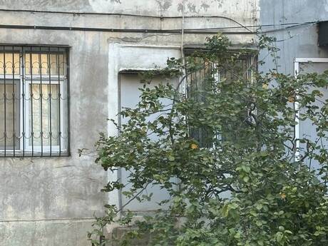 Elan №6206631 - Bakı, Azadlıq Prospekti m., 2 otaqlı, 60 m², 1/5 mərtəbə