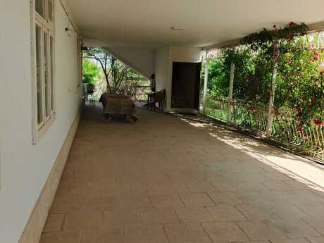 Şamaxı