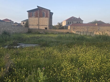Fatmayı q.