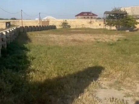 Nardaran q.