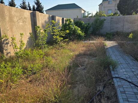 4 otaqlı həyət evi, 180 m², Albalılıq: 245 000 ₼ 2