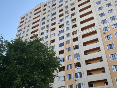 м. Элмляр Академиясы