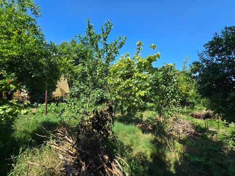 4 otaqlı həyət evi, 150 m², Binə: 128 000 ₼ 3