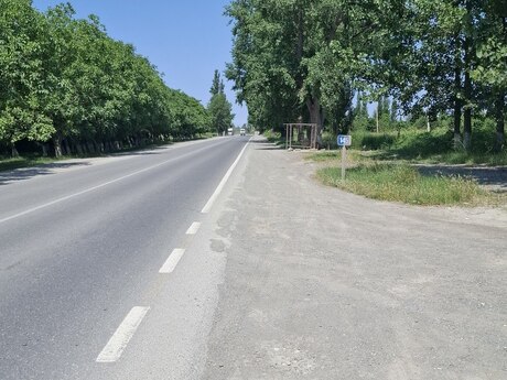 Губа
