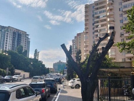 Elan №6210729 - Bakı, İçəri Şəhər m., 2 otaqlı, 86 m², 9/16 mərtəbə