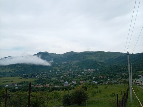 Şamaxı