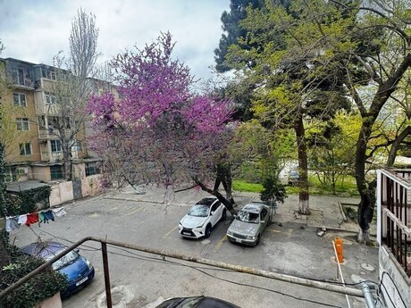 2 otaqlı mənzil, 45 m², Elmlər Akademiyası: 157 000 ₼ 5