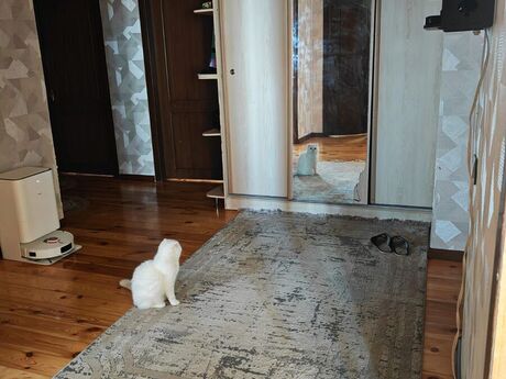 3 otaqlı mənzil, 100 m², Xalqlar Dostluğu: 265 000 ₼ 3