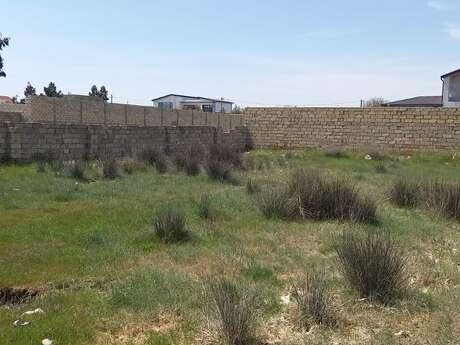 Torpaq - Nardaran q. - 12 sot