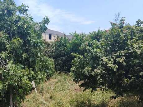 Torpaq - Mehdiabad q. - 5 sot