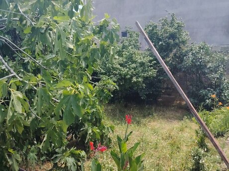 Torpaq - Mehdiabad q. - 5 sot