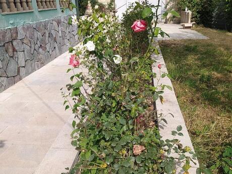 3 otaqlı həyət evi/bağ evi - İsmayıllı - 60 m²