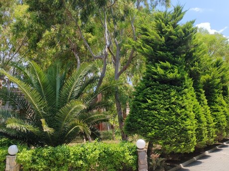 5 otaqlı həyət evi/bağ evi - Türkan q. - 380 m²