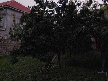 Elan №6212047 - Bakı, Nardaran q., 12 sot