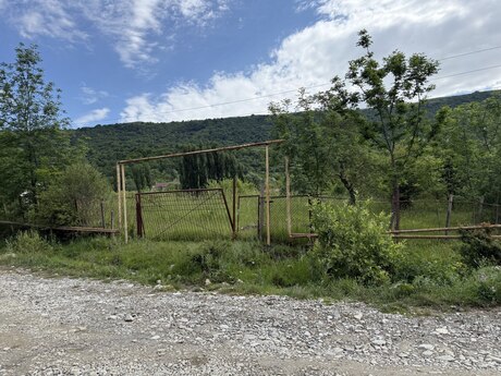 Şamaxı