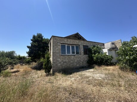 Albalılıq q.