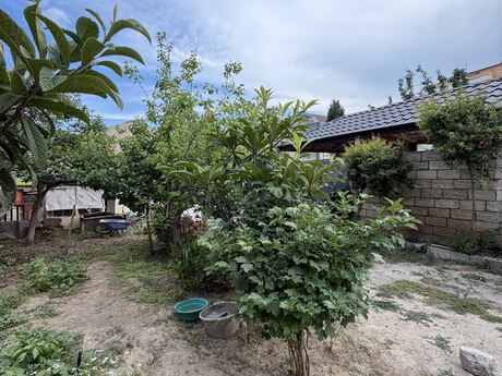 Torpaq - Bakıxanov q. - 3.1 sot