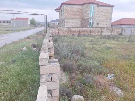 Novxanı q.