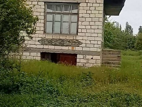 Барда