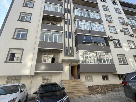 Masazır q.