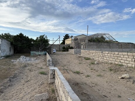 Qala q.