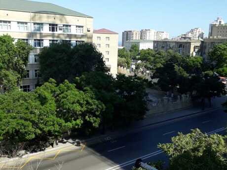 Elan №6215840 - Bakı, Elmlər Akademiyası m., 1 otaqlı, 35 m², 5/5 mərtəbə