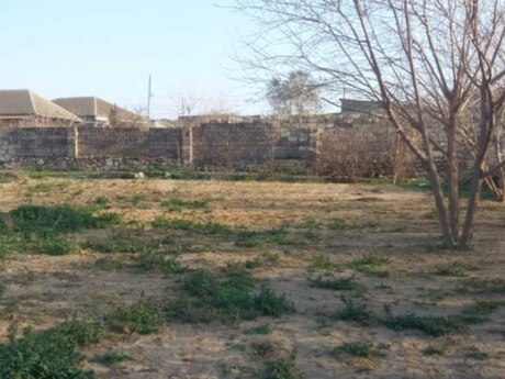 Elan №6215989 - Bakı, Bilgəh q., 12 sot