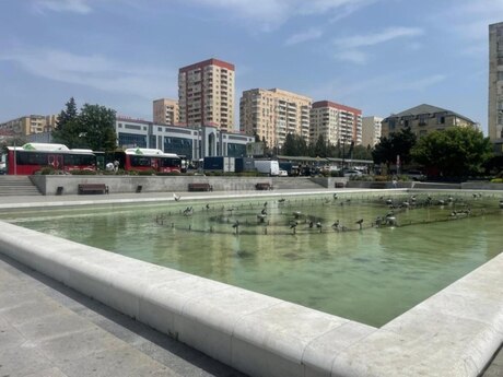 Xalqlar Dostluğu m.