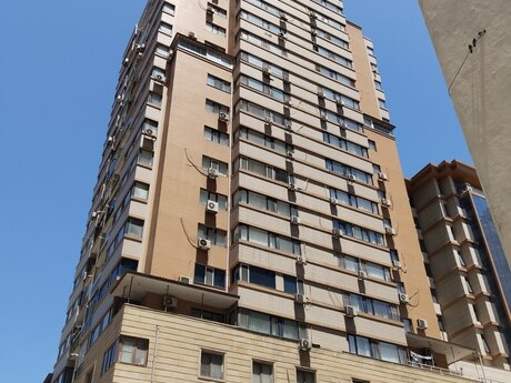 Şah İsmayıl Xətai m.