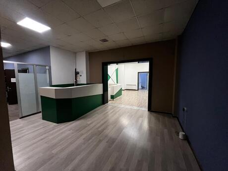 20-комн. офис - м. 28 мая - 1000 м²