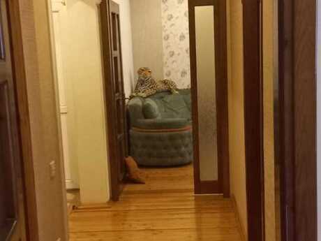 Elan №6217094 - Xırdalan, Xırdalan, 3 otaqlı, 90 m², 10/13 mərtəbə