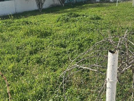 5 otaqlı həyət evi/bağ evi - Buzovna q. - 220 m²