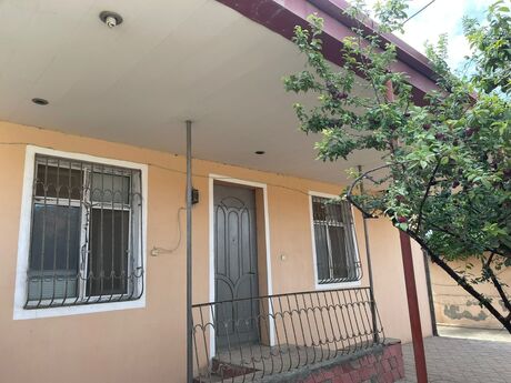 Pirşağı q.