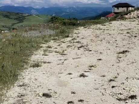 Şamaxı