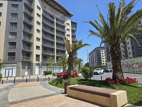 Elan №6218666 - Bakı, Şah İsmayıl Xətai m., 725 m²