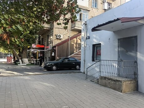 Elmlər Akademiyası m.