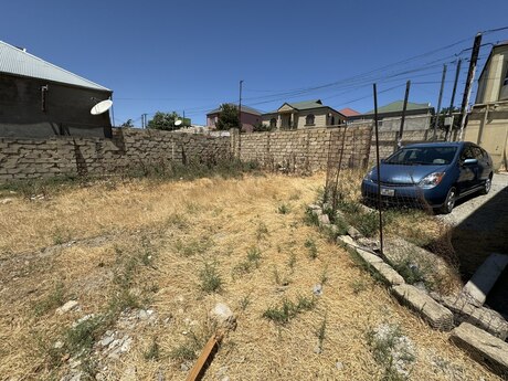 Masazır q.