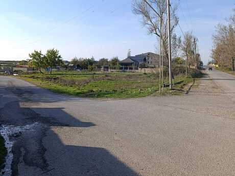 Şamaxı