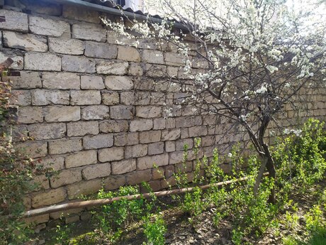 Obyekt - Cəlilabad - 43.4 m²